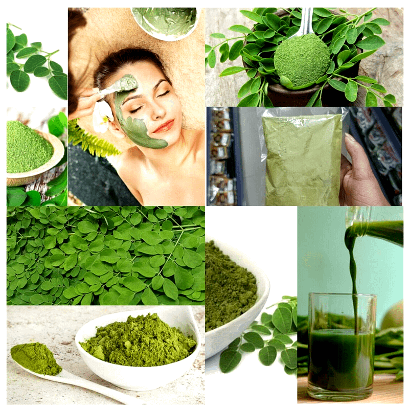 , moringa tea, moringa tree, moringa leaf benefits, moringa tea benefits,