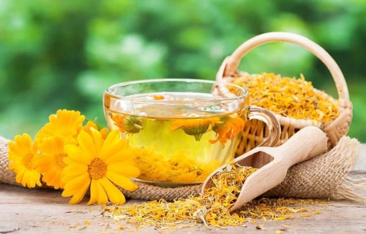 calendula oil