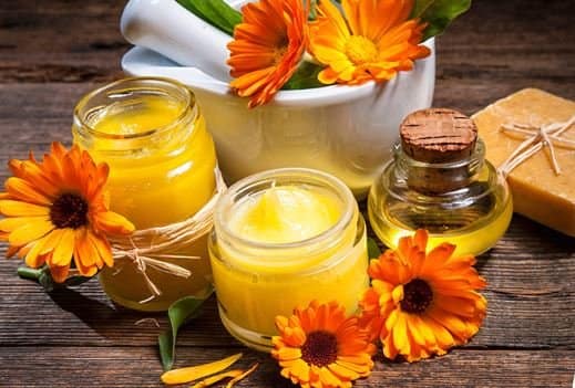 Hidden Magic of Calendula
