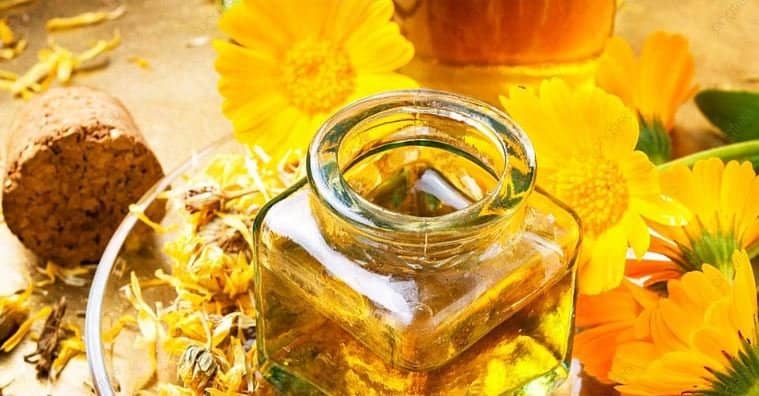 calendula flower