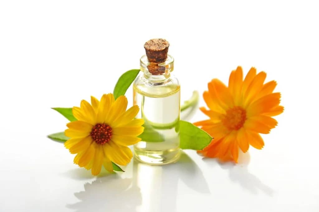 calendula benefits