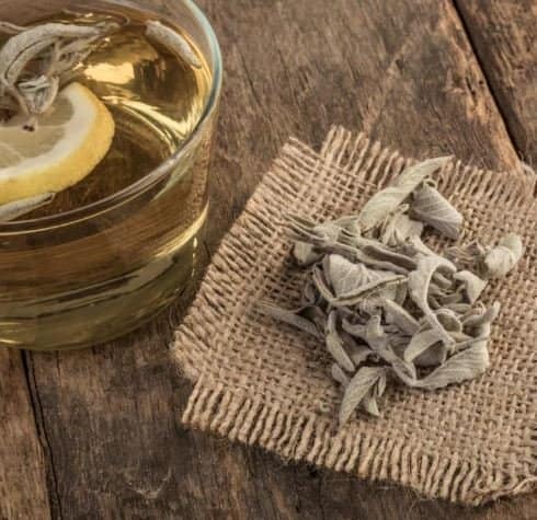 Dried Sage