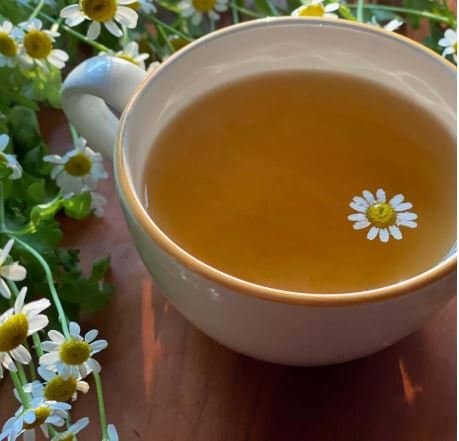 Does chamomile tea have caffeine?